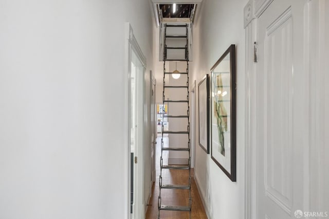 3511 23rd St Unit 1, San Francisco, CA 94110 - hallway with wood finished floors and a towering ceiling