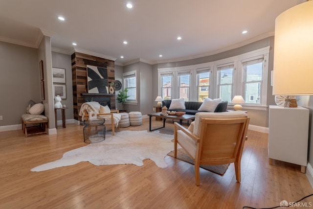 living room with crown molding, light hardwood / wood-style flooring, and a large fireplace