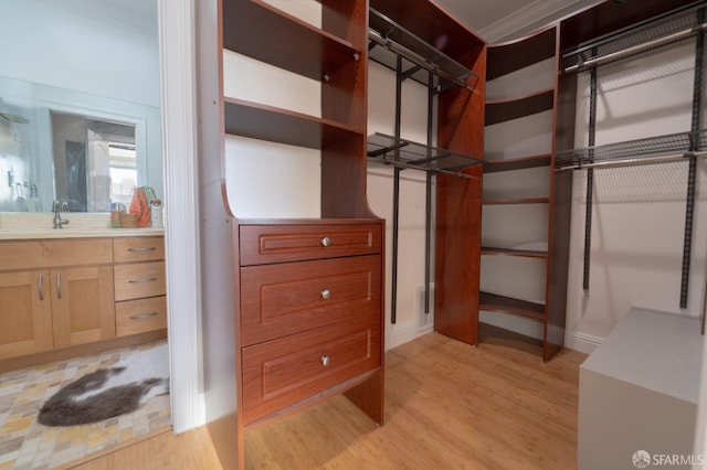 spacious closet with sink and light hardwood / wood-style floors