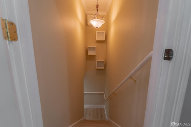 staircase featuring hardwood / wood-style flooring