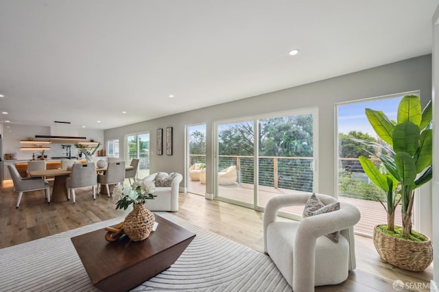 living room featuring recessed lighting and wood finished floors