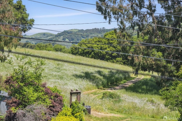 view of yard with a mountain view