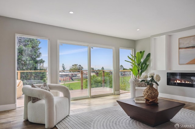 living area featuring plenty of natural light, wood finished floors, a glass covered fireplace, and recessed lighting