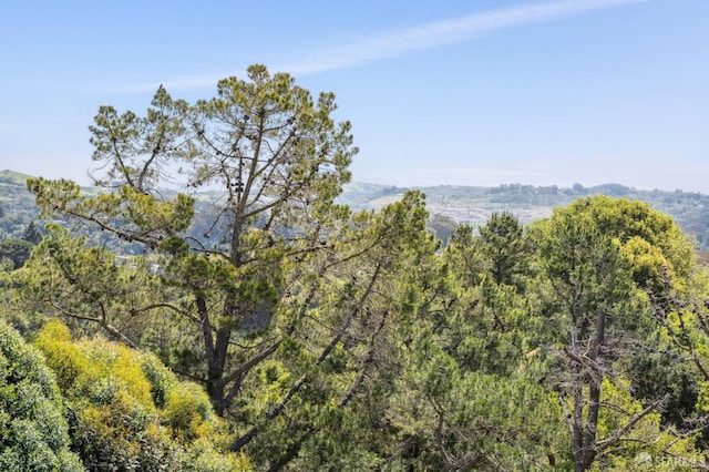 property view of mountains with a view of trees