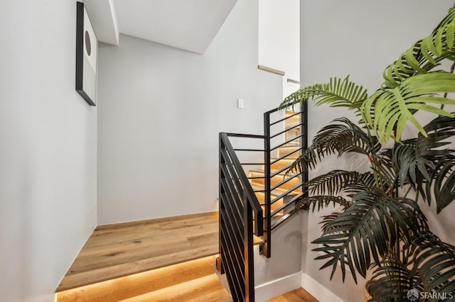 stairway featuring wood finished floors