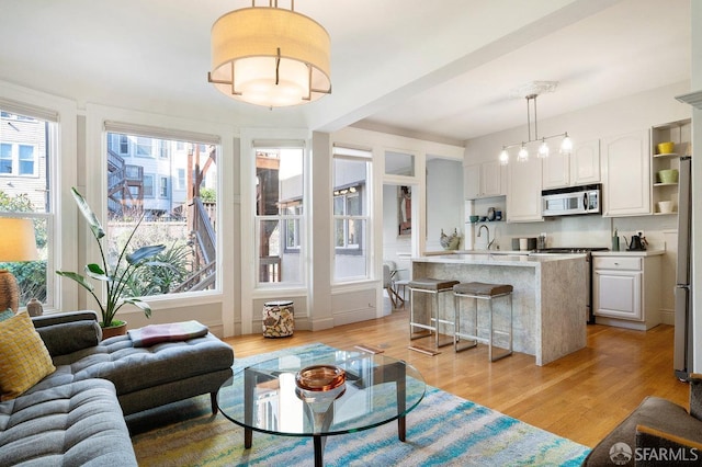 living area featuring light wood-style floors