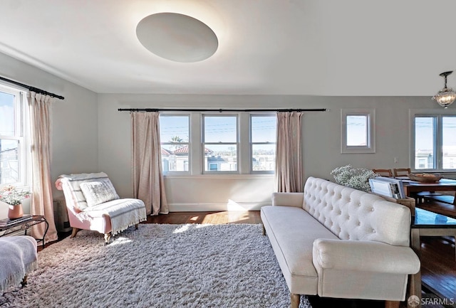 living area with baseboards and wood finished floors