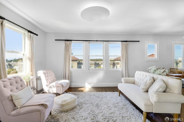 interior space with a wealth of natural light, baseboards, and wood finished floors