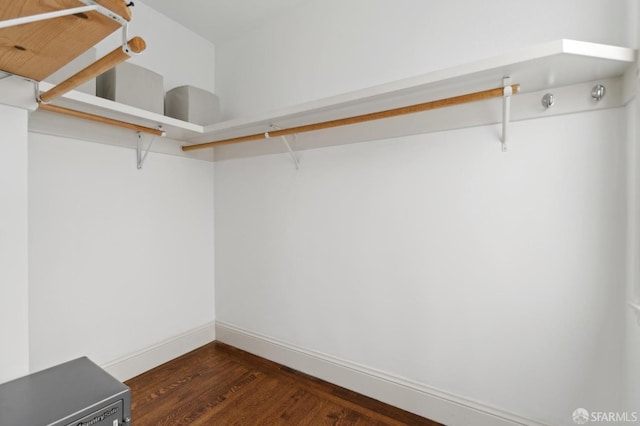 spacious closet featuring dark wood finished floors