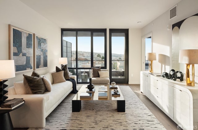 living room with a mountain view and hardwood / wood-style flooring