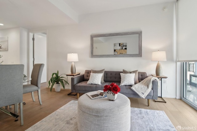 living area featuring baseboards and wood finished floors