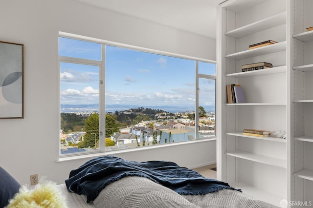 bedroom with multiple windows