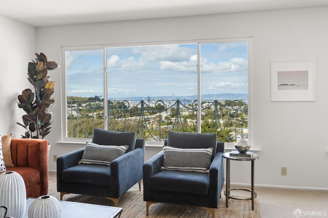 sitting room featuring baseboards and carpet flooring