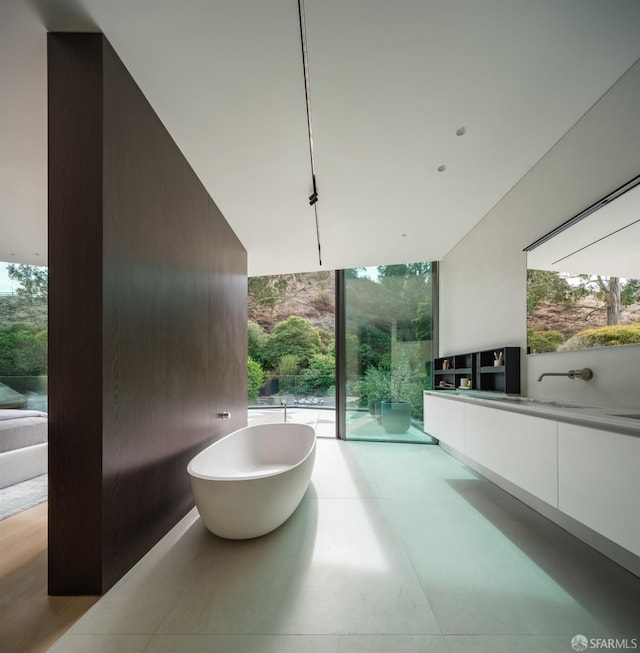 bathroom with a washtub and vanity