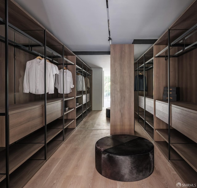 spacious closet featuring light wood-type flooring