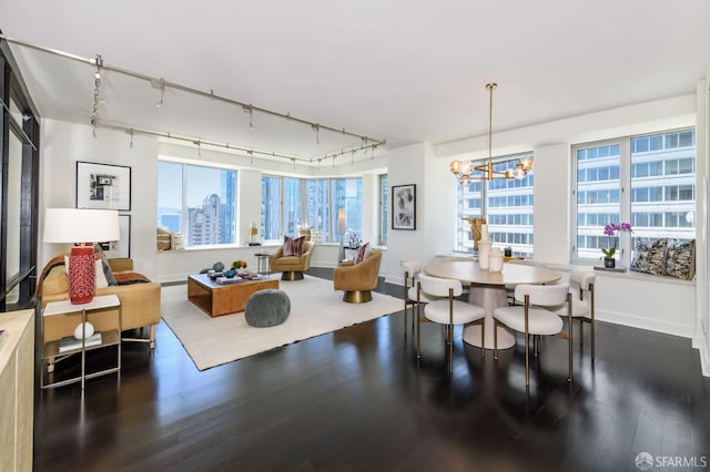 dining space with hardwood / wood-style flooring, rail lighting, and a chandelier