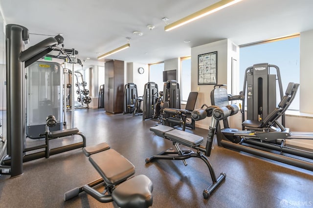 workout area featuring floor to ceiling windows