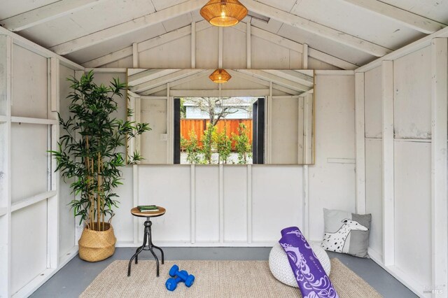 miscellaneous room with lofted ceiling