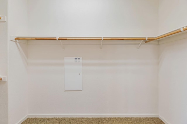 9877 Bluefin Way, Elk Grove, CA 95757 - walk in closet featuring carpet floors
