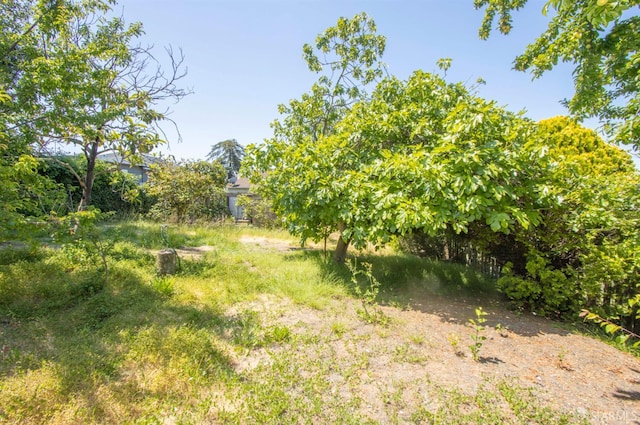 7520 Sunkist Dr, Oakland, CA 94605 - view of yard