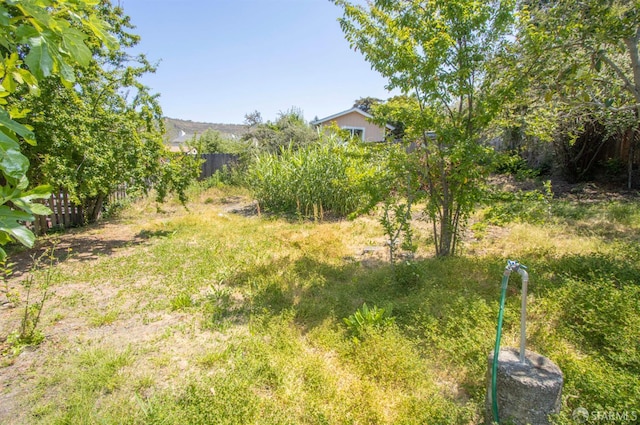 7520 Sunkist Dr, Oakland, CA 94605 - view of yard