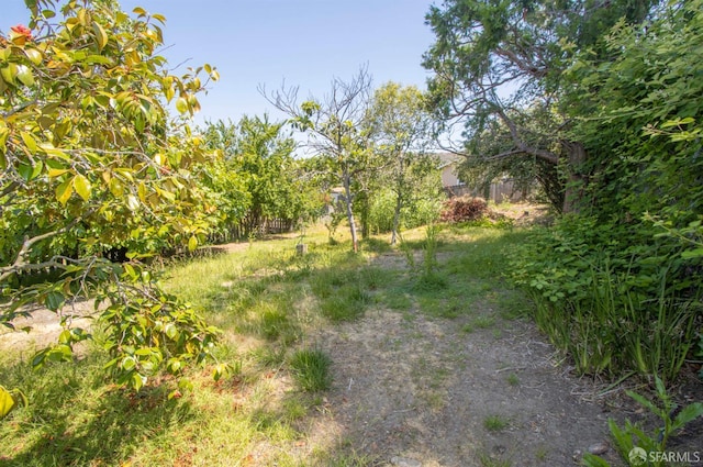 7520 Sunkist Dr, Oakland, CA 94605 - view of yard