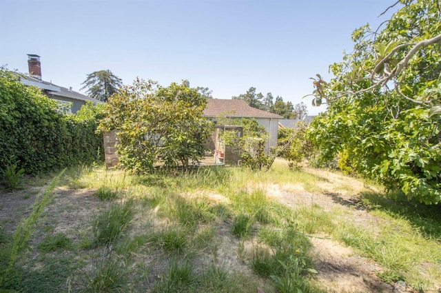 7520 Sunkist Dr, Oakland, CA 94605 - view of yard
