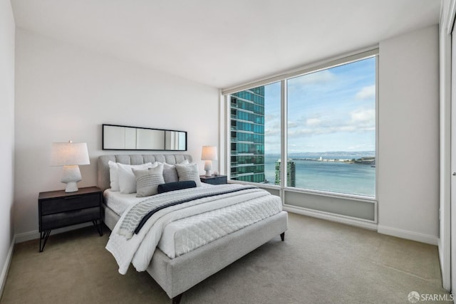 carpeted bedroom featuring baseboards and a water view