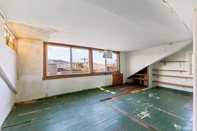 misc room featuring a mountain view and dark wood-type flooring