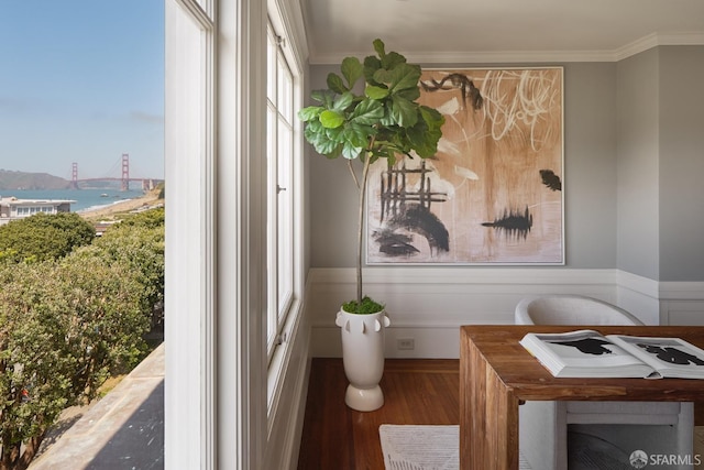 bathroom featuring crown molding, a wainscoted wall, a water view, and wood finished floors