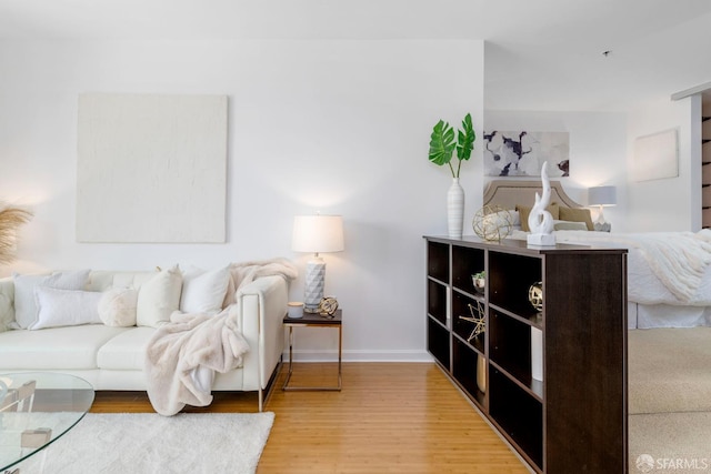 living room with wood-type flooring