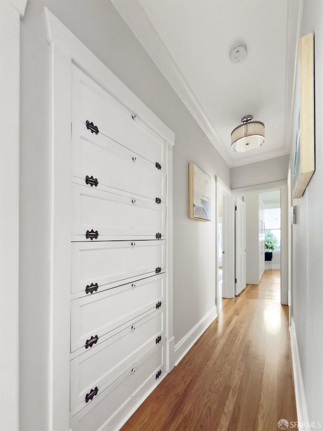 hallway featuring crown molding and light hardwood / wood-style floors