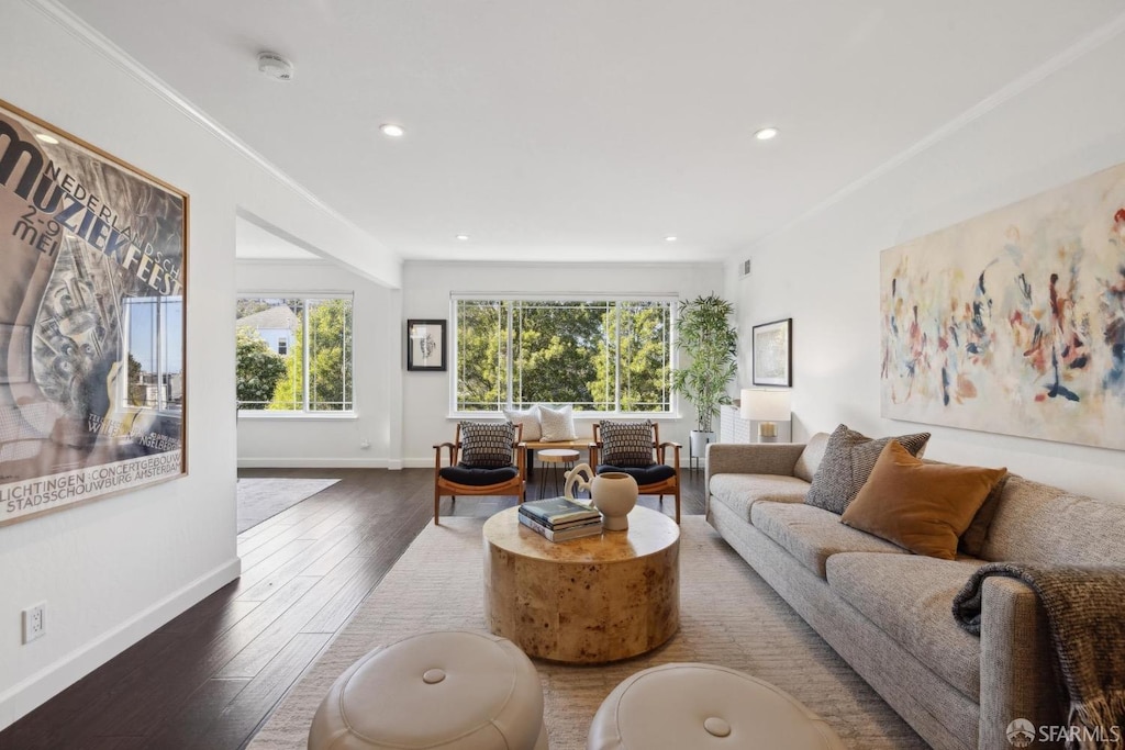 living room with ornamental molding and dark hardwood / wood-style floors