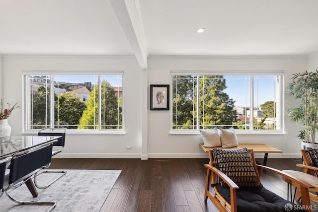 interior space featuring beamed ceiling, crown molding, dark hardwood / wood-style floors, and a wealth of natural light