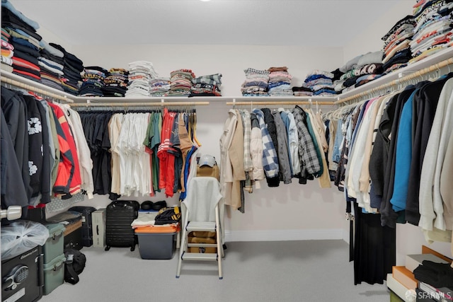 walk in closet with carpet flooring