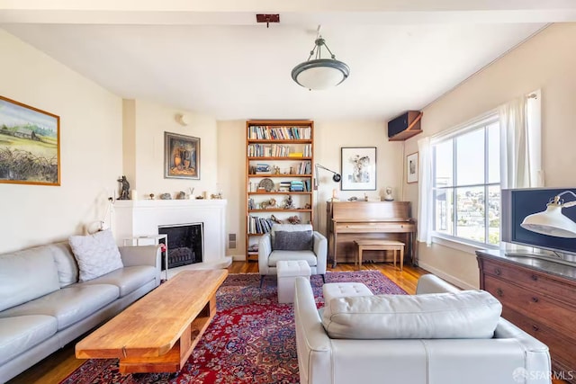 70 Laidley St, San Francisco, CA 94131 - living room featuring wood finished floors, a fireplace with raised hearth, and baseboards