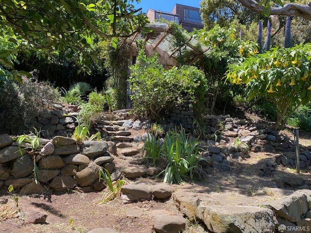 70 Laidley St, San Francisco, CA 94131 - view of yard
