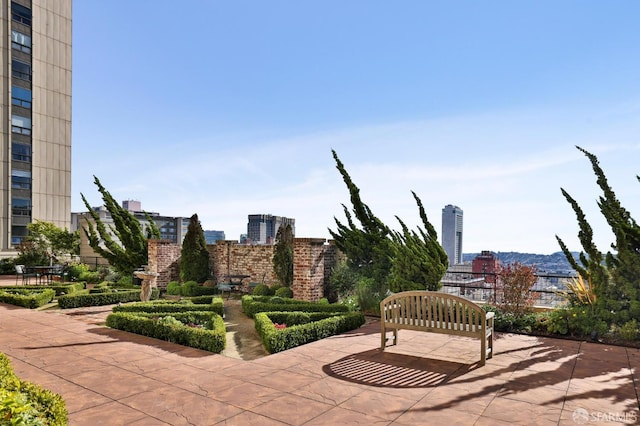 1201 California St Unit 205, San Francisco, CA 94109 - view of patio / terrace featuring a view of city