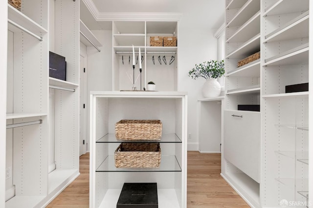 spacious closet with light hardwood / wood-style floors