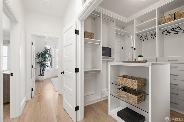 walk in closet featuring light wood-type flooring