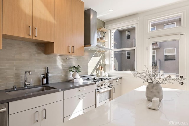 kitchen with sink, dark stone countertops, range hood, tasteful backsplash, and high end stainless steel range