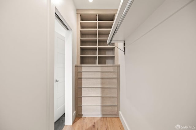 spacious closet featuring light hardwood / wood-style flooring