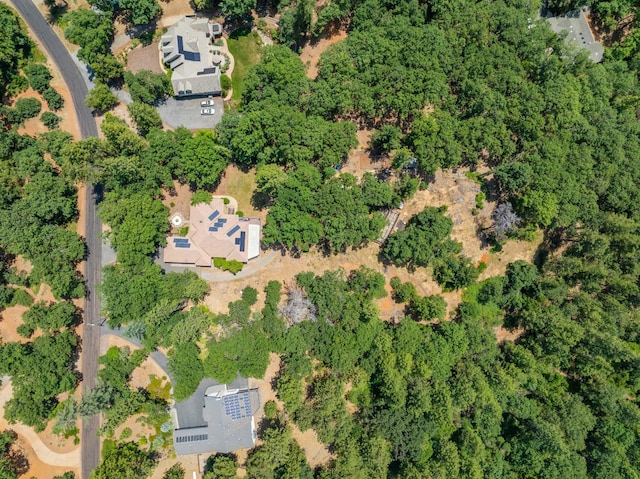 19615 Eagle Ridge Rd, Foresthill, CA 95631 - photo 57