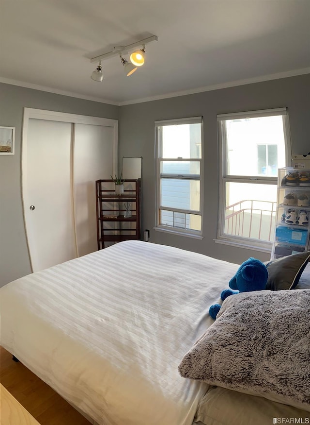 bedroom with a closet, multiple windows, hardwood / wood-style flooring, and rail lighting