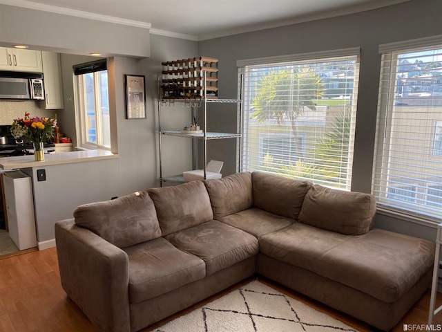 living room featuring light hardwood / wood-style flooring and crown molding