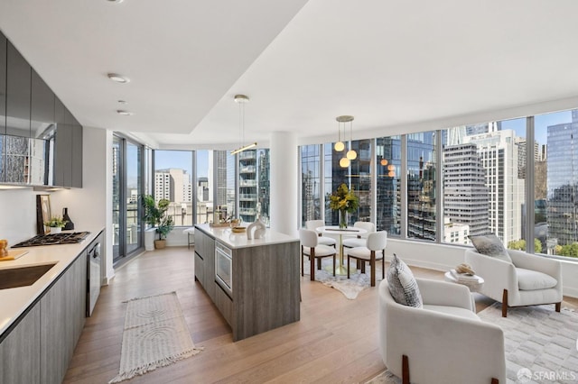 338 Main St Unit 19G, San Francisco, CA 94105 - kitchen featuring modern cabinets, a city view, light wood finished floors, and plenty of natural light