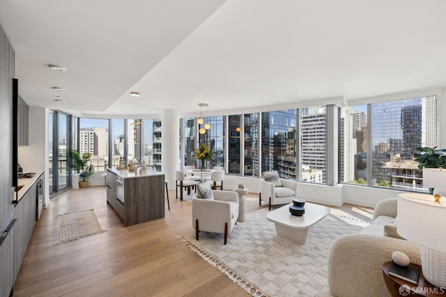 338 Main St Unit 19G, San Francisco, CA 94105 - living room featuring a city view and light wood finished floors