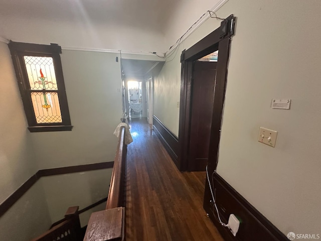 2773-2777 Bryant St, San Francisco, CA 94110 - hallway featuring dark wood-style flooring