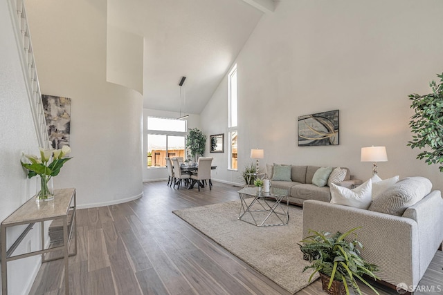 4156 N Amargosa Dr N, Antioch, CA 94531 - living room featuring high vaulted ceiling and wood finished floors