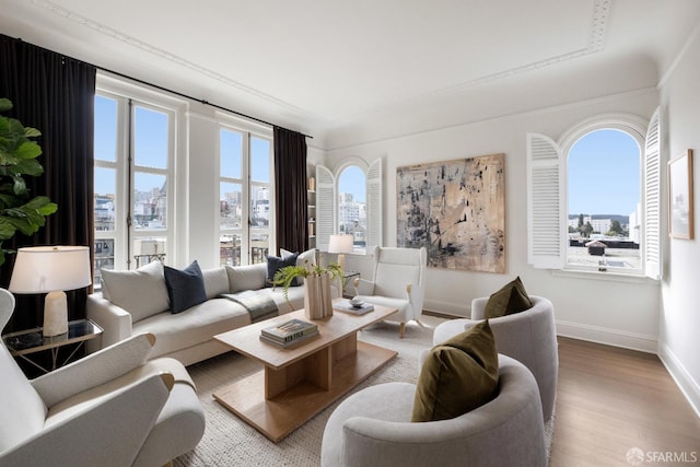 living room featuring wood finished floors, a wealth of natural light, and baseboards